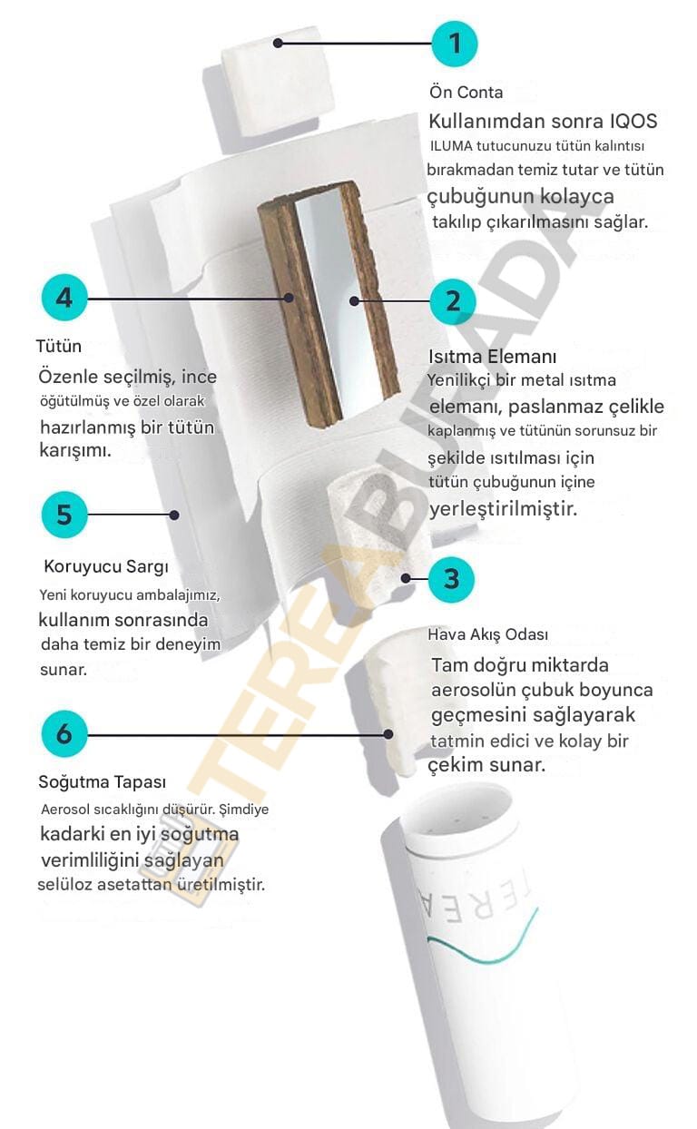 Terea Sigara Nedir?